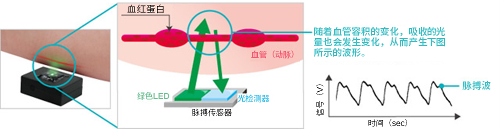 反射型脈波測定の仕組み。